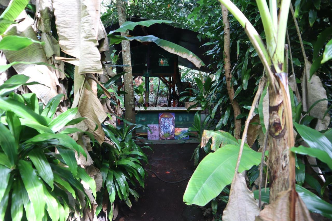 Paradise Eco Village Pahoa Exterior foto