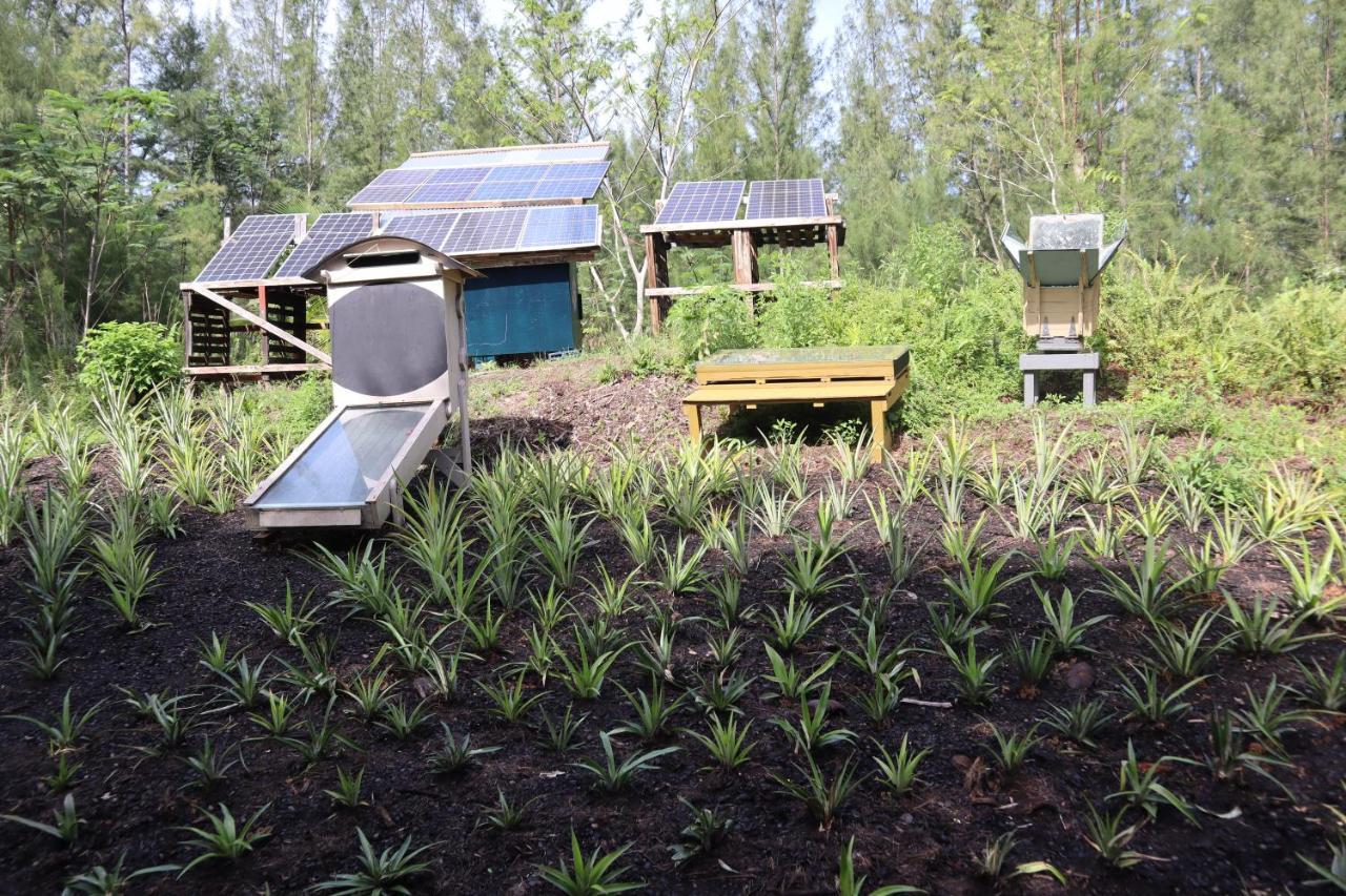 Paradise Eco Village Pahoa Exterior foto